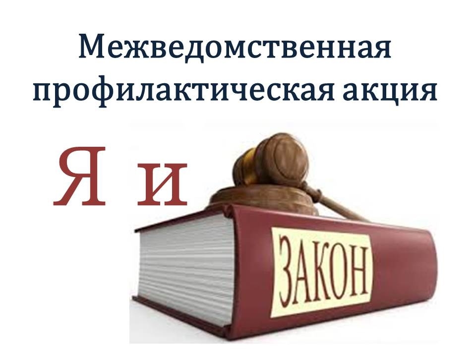 С 1 ноября в городе Челябинске стартует межведомственная профилактическая акция «Я и закон».